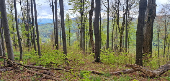 IMG-20250517-WA0020