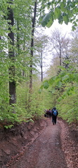 IMG-20250517-WA0022