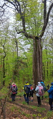 IMG-20250517-WA0021