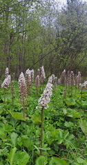 IMG-20250517-WA0024