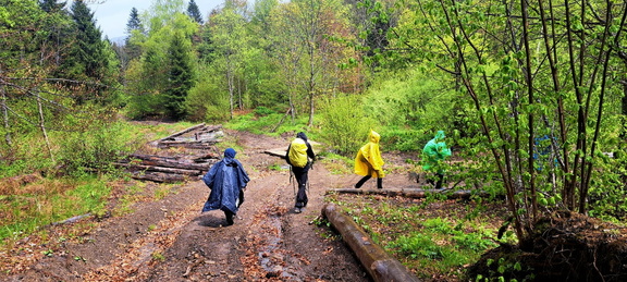 IMG-20250517-WA0023