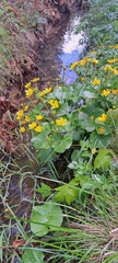 IMG-20250517-WA0026