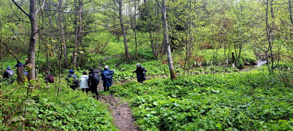 IMG-20250517-WA0027