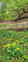 IMG-20250517-WA0025