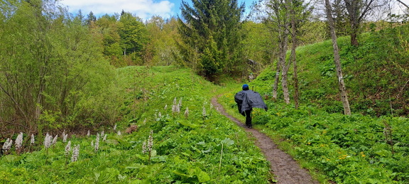 IMG-20250517-WA0028