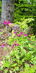 IMG-20250517-WA0035
