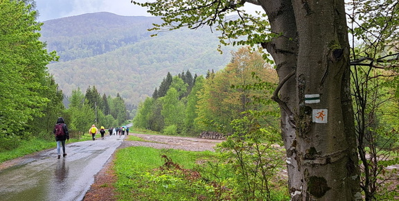 IMG-20250517-WA0038