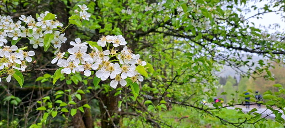 IMG-20250517-WA0039