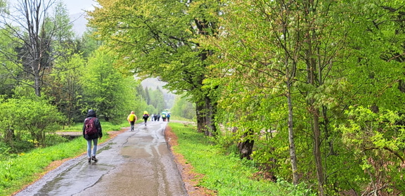 IMG-20250517-WA0037