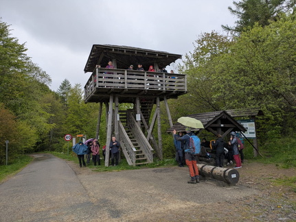 IMG-20250517-WA0040
