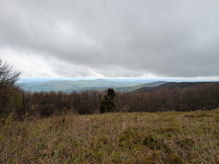 IMG-20250517-WA0047
