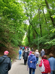 IMG-20250529-WA0008