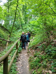 IMG-20250529-WA0011