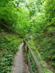 IMG-20250529-WA0012