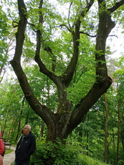 IMG-20250529-WA0033