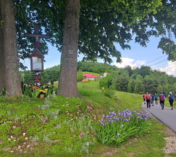 IMG-20250601-WA0026
