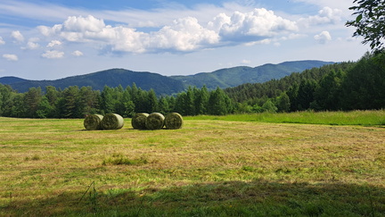 IMG-20250607-WA0016
