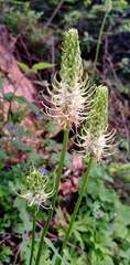 IMG-20250607-WA0020