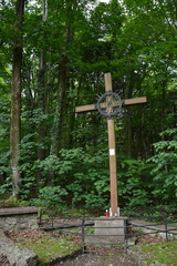 36