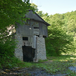 2025-06-15 Wzgórza Rymanowskie - Leszek Dąbal