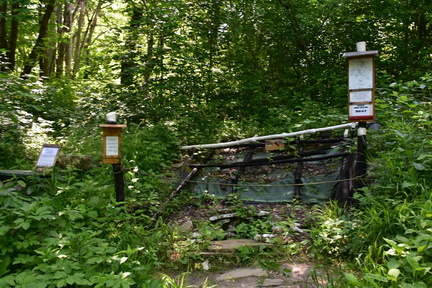 DSC 6513
