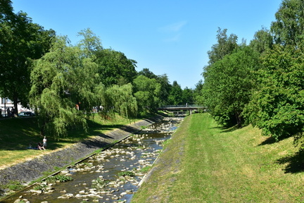DSC 6550