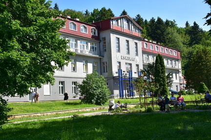 DSC 6564