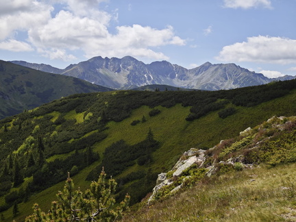 IMG-20250620-WA0007