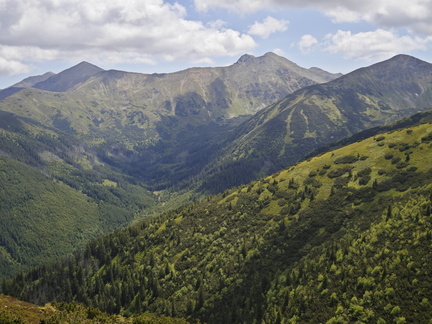 IMG-20250620-WA0008