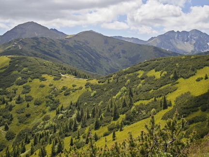 IMG-20250620-WA0009