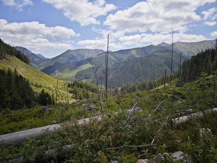 IMG-20250620-WA0011