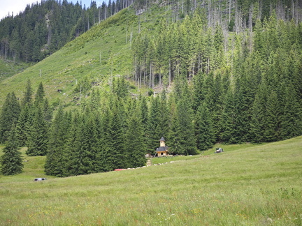 IMG-20250620-WA0012