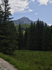 IMG-20250620-WA0013
