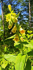 IMG-20250622-WA0019
