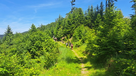 IMG-20250622-WA0018