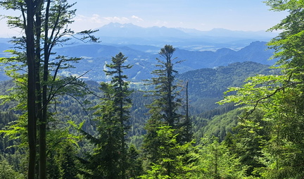 IMG-20250622-WA0021