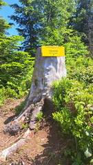 IMG-20250622-WA0023