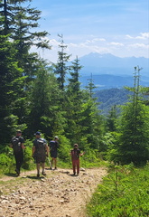 IMG-20250622-WA0029