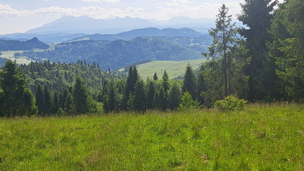 IMG-20250622-WA0030
