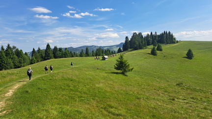 IMG-20250622-WA0032