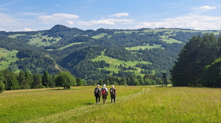 IMG-20250622-WA0035