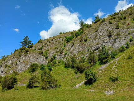 IMG-20250626-WA0033