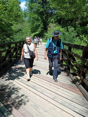 IMG-20250626-WA0038