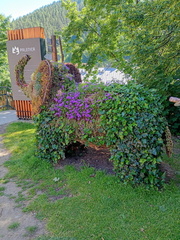 IMG-20250626-WA0049