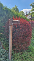 IMG-20250628-WA0013