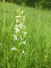 IMG-20250628-WA0014