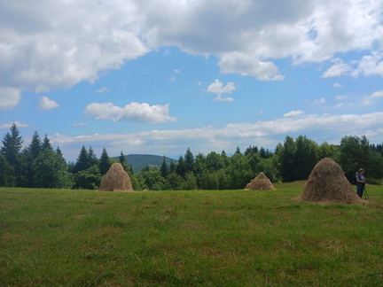 IMG-20250628-WA0015