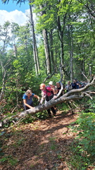 IMG-20250629-WA0003