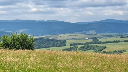 IMG-20250629-WA0005