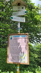 IMG-20250629-WA0008